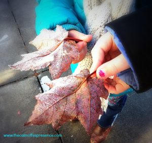 Frosted Leaves