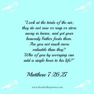 Matthew 726,27