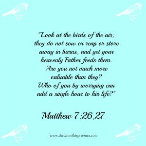 Matthew 726,27